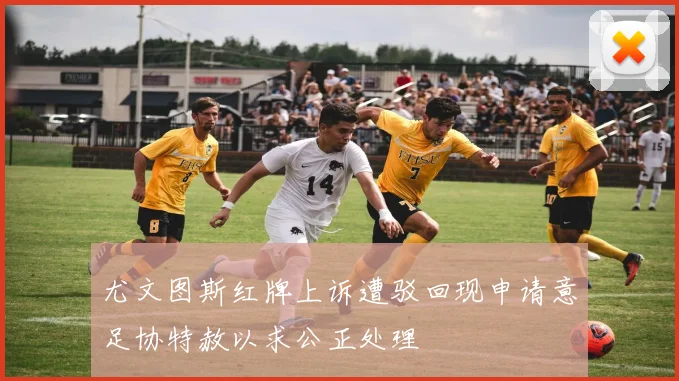 尤文图斯红牌上诉遭驳回现申请意足协特赦以求公正处理