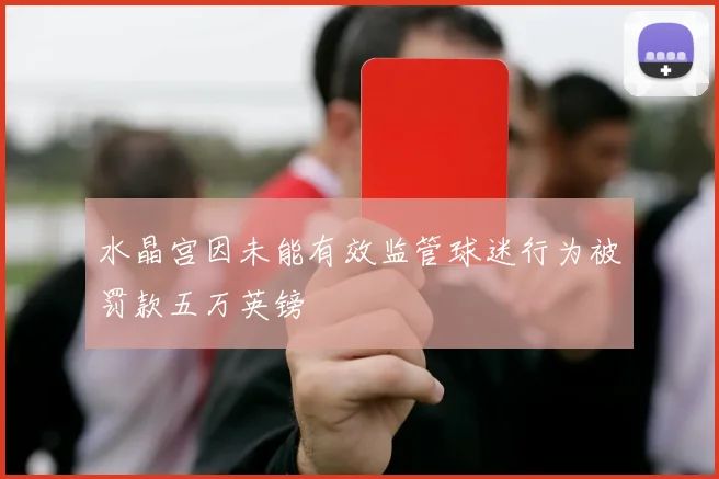水晶宫因未能有效监管球迷行为被罚款五万英镑