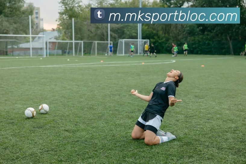 MK体育APP 封面图