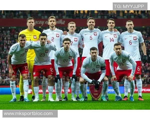波兰国家队新名单公布莱万领衔泽林斯基皮亚特克入选